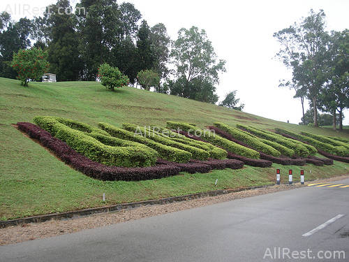 Bintan Lagoon Resort 25